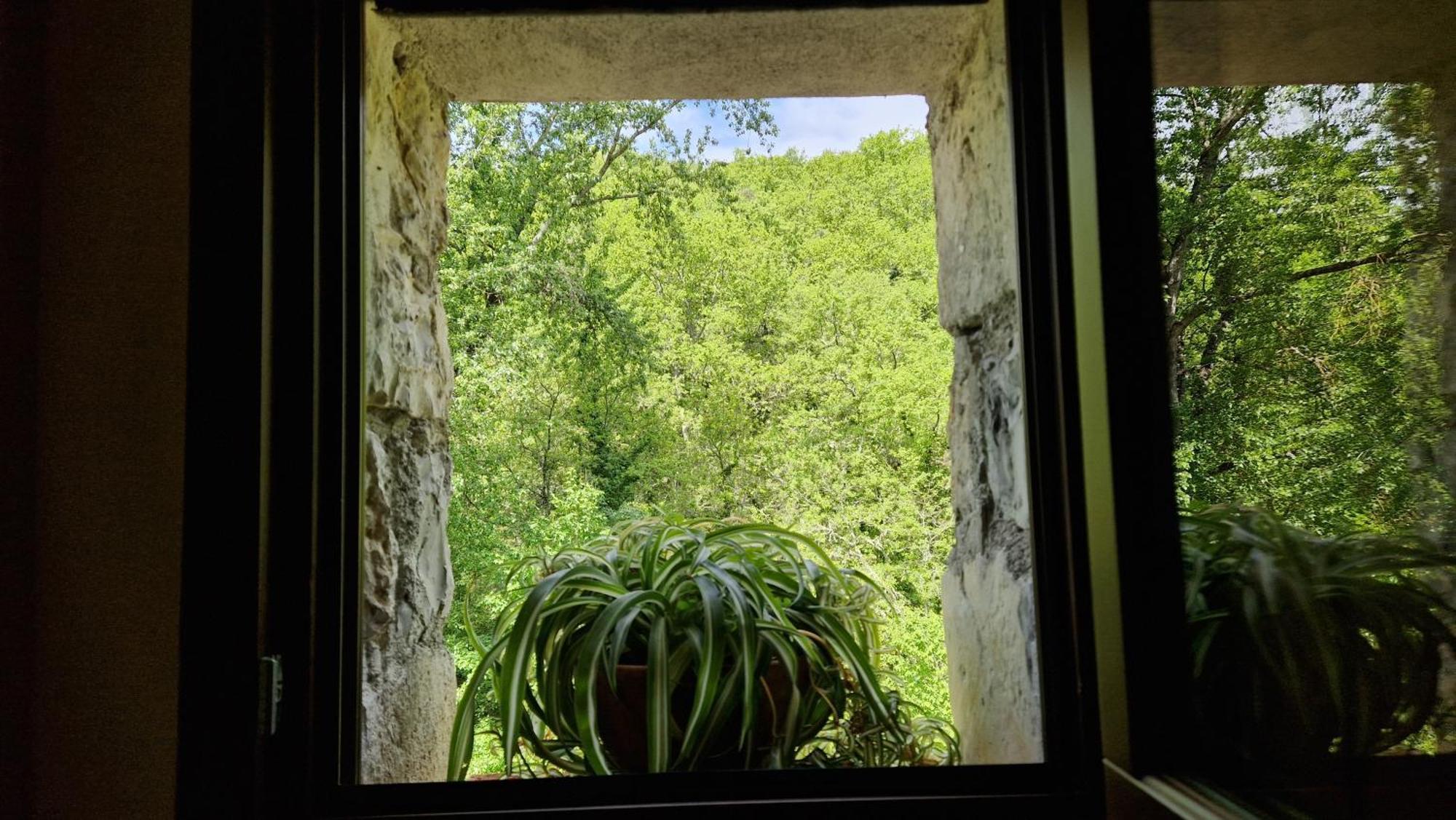 Apartmán Molino Di Cogno Castellina in Chianti Exteriér fotografie