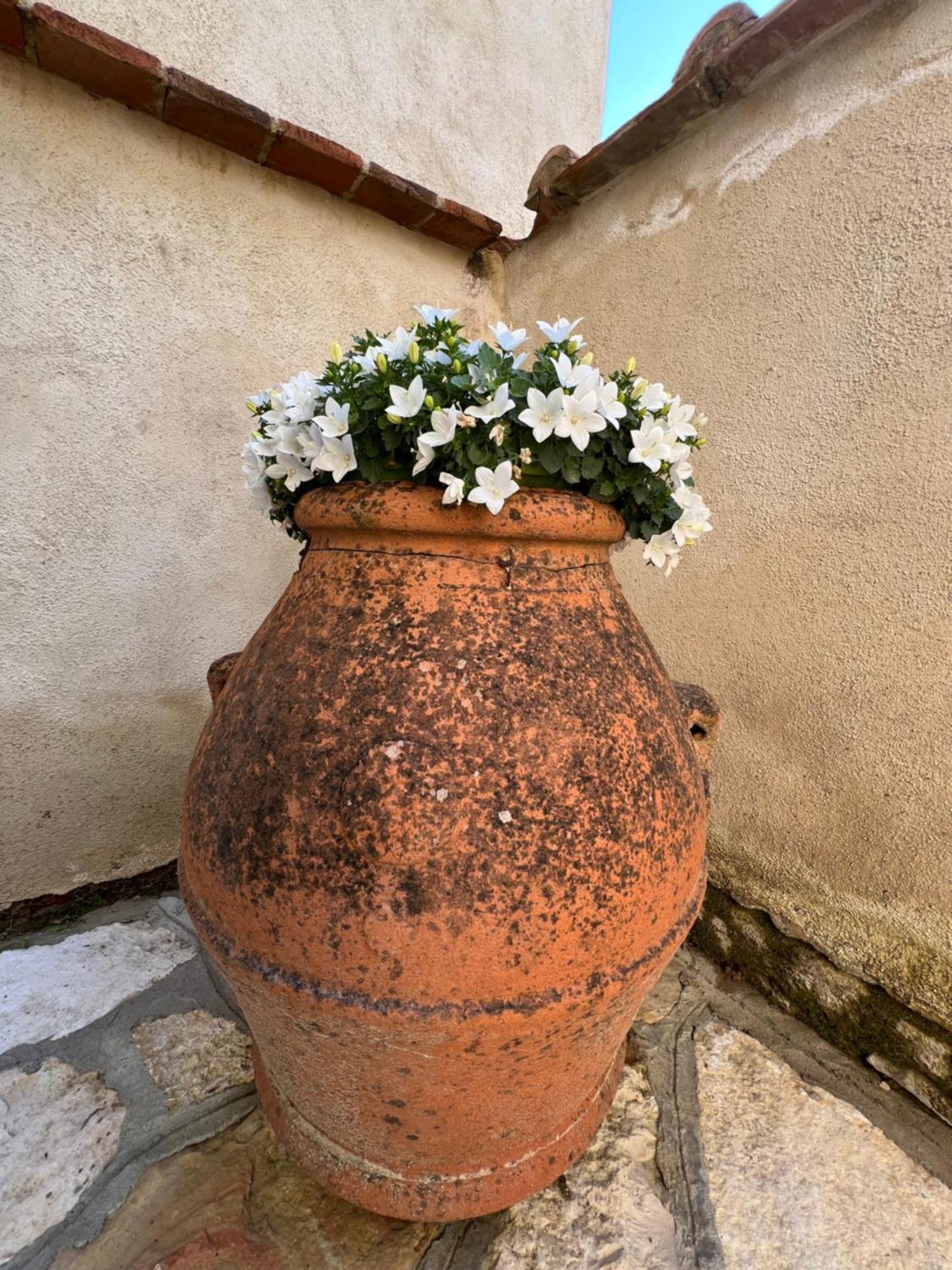 Apartmán Molino Di Cogno Castellina in Chianti Exteriér fotografie