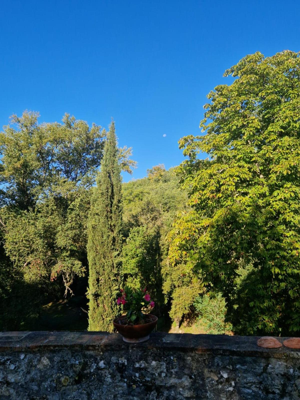 Apartmán Molino Di Cogno Castellina in Chianti Pokoj fotografie